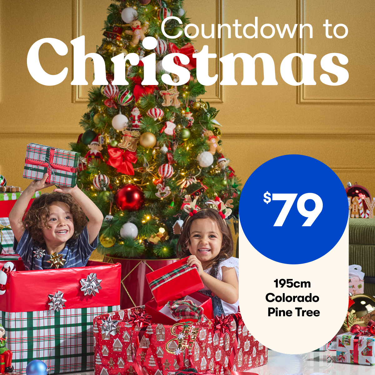 Countdown to Christmas Catalogue