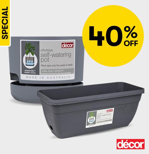 40% OFF