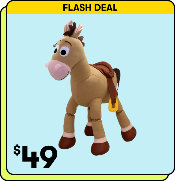 FLASH DEAL | $49
