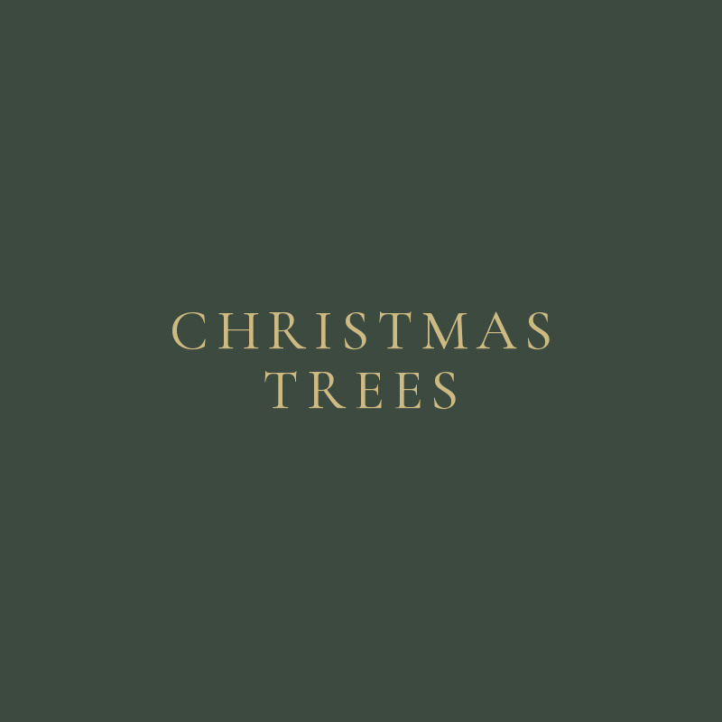 Christmas Trees