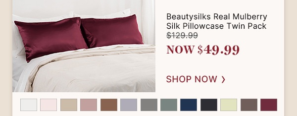 Beautysilks-Real-Mulberry-Silk-Pillowcase-Twin-Pack