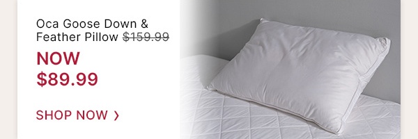 Oca Goose Down Feather Pillow WAS $159.99 | NOW $89.99