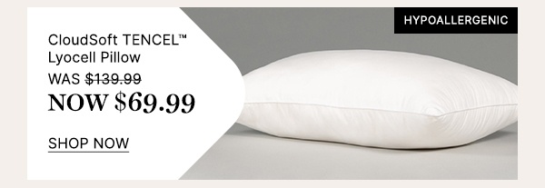 Cloudsoft-Tencel-Lyocell-Pillow