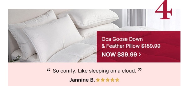 Oca-Goose-Down-And-Feather-Pillow-Image