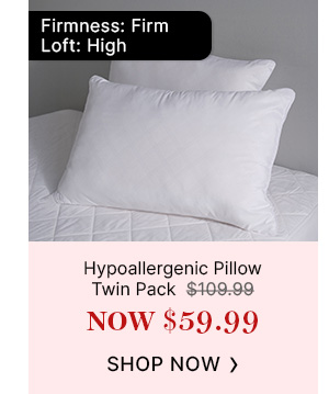 Hypoallergenic-Pillow-Twin-Pack-Image