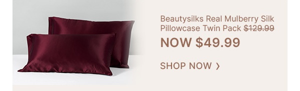 Beautysilks-Mulberry-Silk-Pillowcase