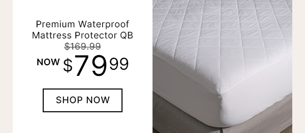 Premium-Waterproof-Mattress-Protector-Image