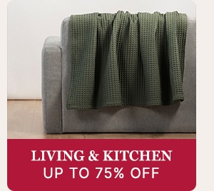 Living And Kitchen