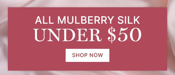 All-Mulberry-Silk-Under-50-Banner-Image