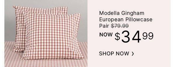 Modella-Gingham-European-Pillowcase-Pair-Image