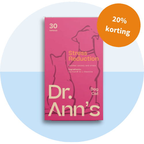 Dr. Ann's Stress Reduction