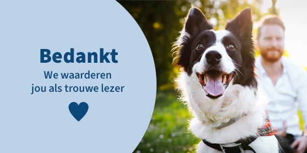 Bedankt!