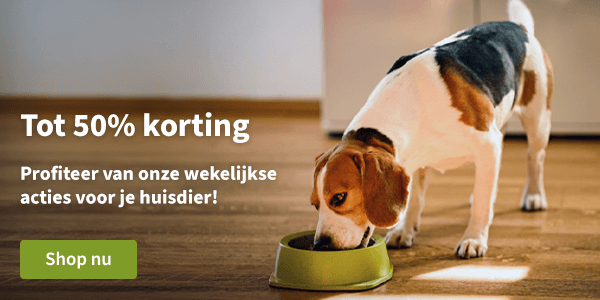 Bekijk alle aanbiedingen
