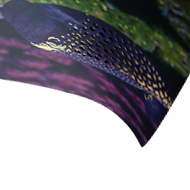Foil